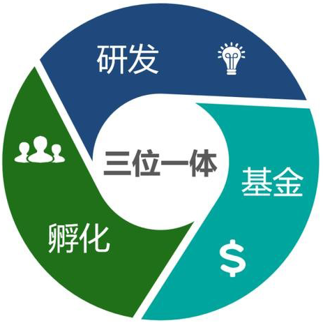 亚王新材料产业投资基金